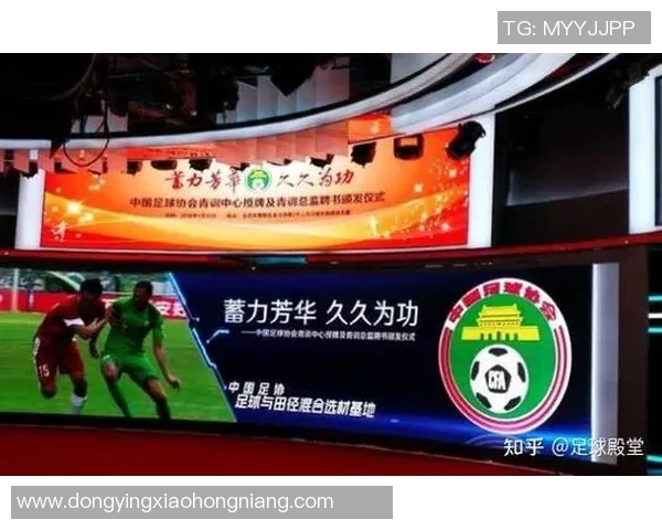 深圳足球队与广州足球队耐力较量赛后深度分析与反思