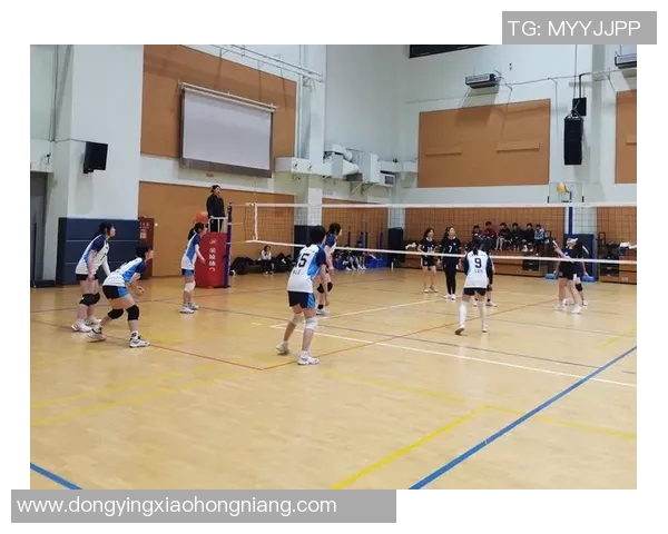 赛后分析:上海排球队与成都排球队在比赛中的灵活性对比探讨